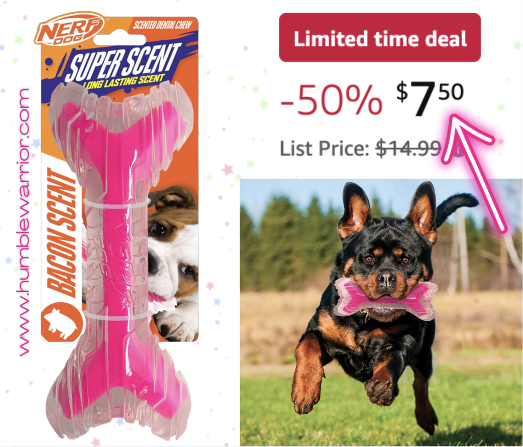 Nerf Dog 9″ SuperScent Bone